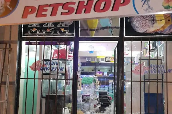 Aydın petshop - Evcil hayvan mağazası - Ankara Sincan