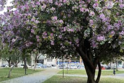 Bornova Gençlik Ve Spor Parkı