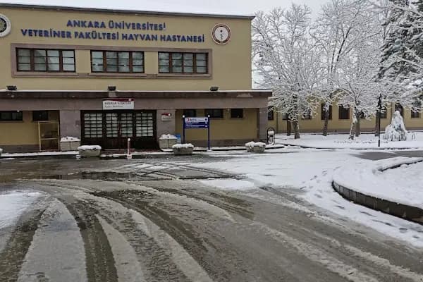 Ankara Üniversitesi Veteriner Fakültesi Hayvan Hastanesi - Hayvan Hastanesi - Ankara Çankaya