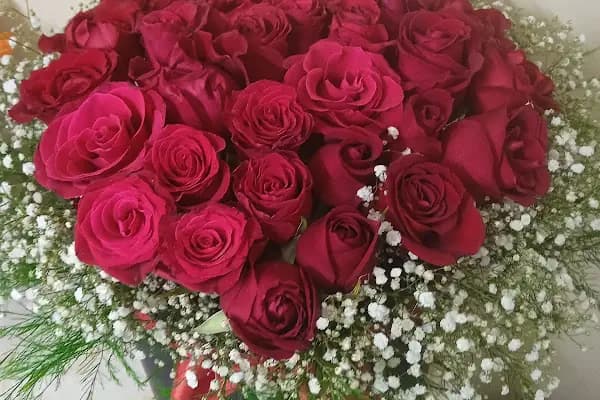 Gardens Çiçekçilik ve Organizasyon - Şişli Çiçekçi - Çiçekçi - İstanbul Şişli