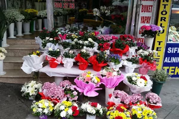 Gözde Çiçek Sarayı - Çiçekçi - İstanbul Bağcılar