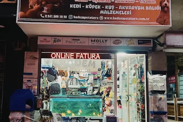 Badem PetShop - Evcil hayvan mağazası - Kocaeli Gölcük