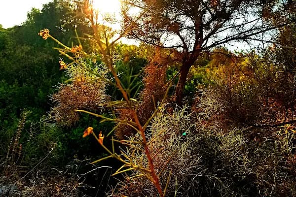 Çocuk Parkı - Park - Antalya Demre