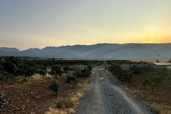 KARAKEÇİLİ POLATLAR AİLE ÇİFTLİĞİ - Hayvan Üreticisi - Gaziantep Şehitkamil