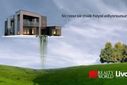 Realty World Liva Gayrimenkul