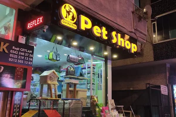 Çitil petshop - Evcil hayvan mağazası - İstanbul Bahçelievler