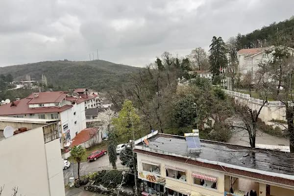 Diamond Hotel - Otel - Yalova Termal