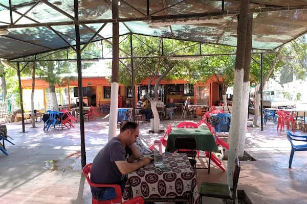Hayal Pasta &amp; Cafe - Pastane - Manisa Ahmetli