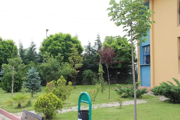 NENE HATUN MESLEKİ VE TEKNİK ANADOLU LİSESİ - Okul - Bursa Gürsu