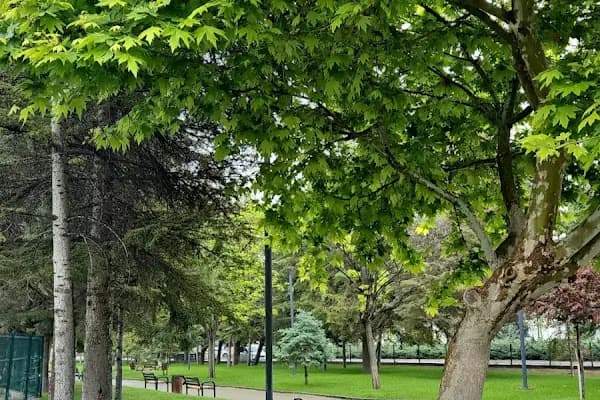 Ertuğrul Özer Parkı - Park - Ankara Altındağ