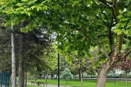 Ertuğrul Özer Parkı