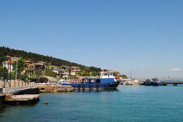 Heybeliada Mavimarmara Motor İskelesi - Ulaşım Hizmeti - İstanbul Pendik
