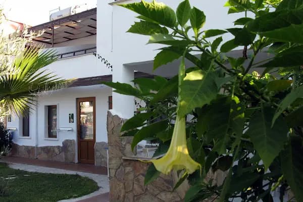 CLUB CHERRY HOTEL 2001 - Otel - Muğla Bodrum