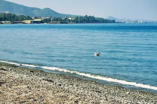 Kumsal Incir Alti Sahil :) - Park - İzmir Narlıdere