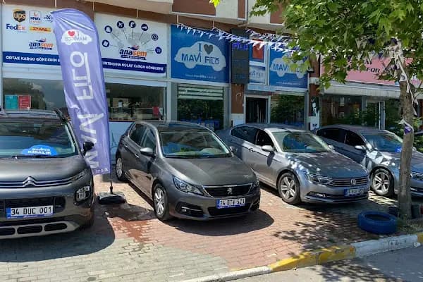 Mavi Filo Araç Kiralama - Araba Kiralama Şirketi - İstanbul Pendik