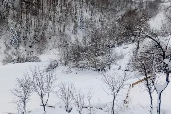 Alaçam Şirinköy Dürtmen Yaylası - Yürüyüş Alanı - Samsun Kavak