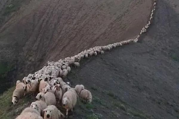 Bağlar Belediyesi Eğitim Destek Evi - Resmi Kurum - Diyarbakır Çınar