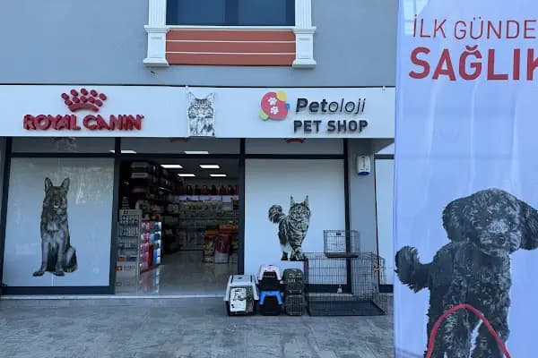 Petshop Petoloji Derince - Evcil hayvan mağazası - Kocaeli İzmit