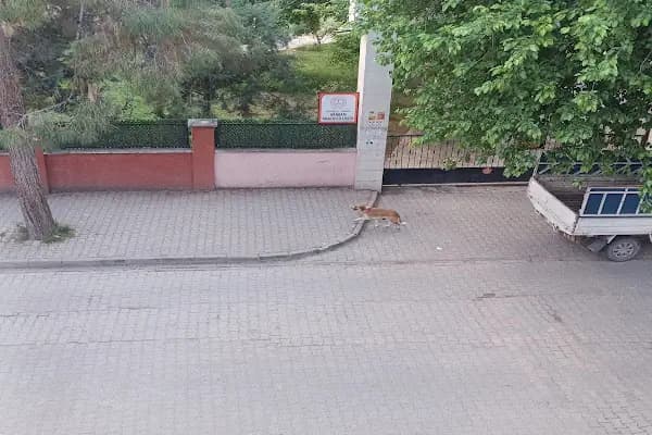 AKA'Y KİTAP KIRTASİYE - Kırtasiye Mağazası - Gaziantep Şehitkamil