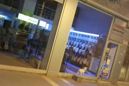 Evrensel Müzik