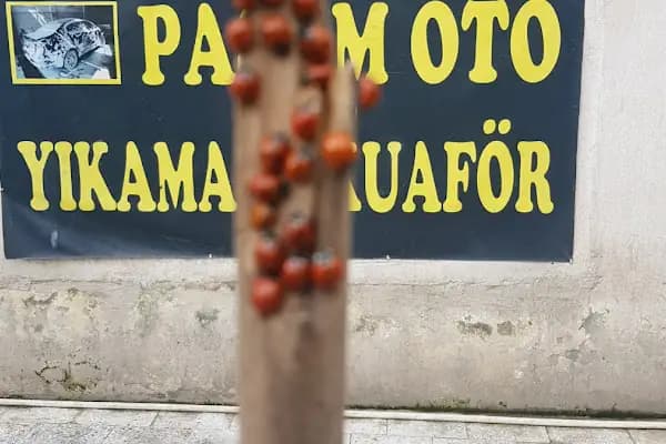 PASAM OTO YIKAMA KUAFÖR PASTA CILA SERAMIK KAPLAMA DERI KOLTUK BOYAMA - Araba Yıkama - Şanlıurfa Akçakale
