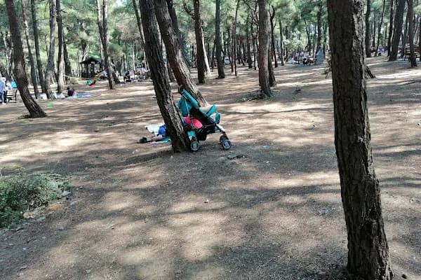 Atatürk Kent Ormanı - Park - Bursa Nilüfer