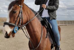 DREAM HORSE BİNİCİLİK VE ATLI SPOR KULÜBÜ