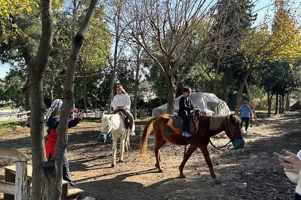 Mehmet Dayı At çiftliği - Yürüyüş Alanı - Adana Karaisalı