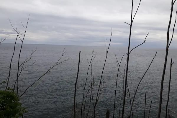 Vakfikebir Ekmek Firin - Fırın - Trabzon Düzköy