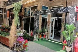 lila çiçek evi