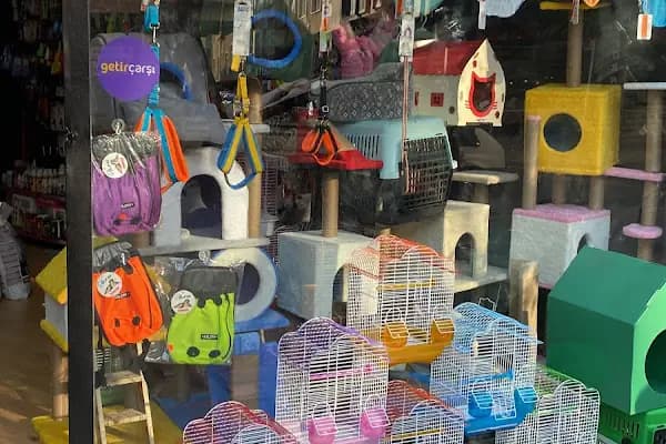Mis PetShop - Evcil hayvan mağazası - İstanbul Avcılar