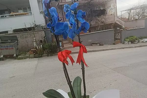 ATABERK ÇİÇEK ATÖLYESİ &amp; DAVET ORGANİZASYON - Çiçekçi - Balıkesir Altıeylül