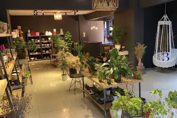 Acıpayam Berk Flower Design - Çiçekçi - Denizli Acıpayam