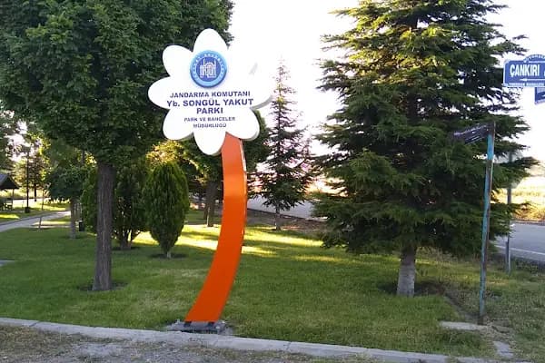 Şht. Canöz Kansu Parkı - Park - Ankara Akyurt