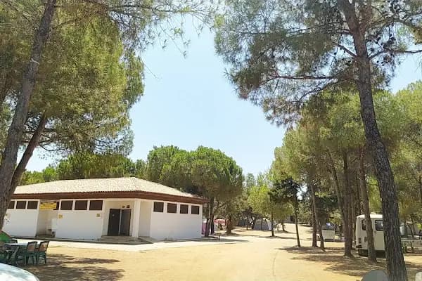 Tavşan Burnu Orman Kampı - Kamp Alanı - Aydın Bozdoğan