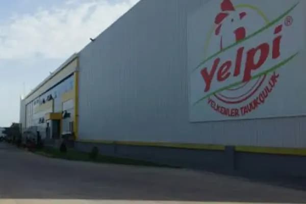 Yelpi tavukçuluk İnegöl Bursa - Kümes Hayvanları Marketi - Bursa İnegöl