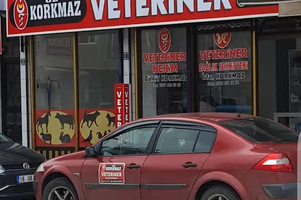 ÖZ KORKMAZ VETERİNER MUAYENEHANESİ - Veteriner - Bursa Gürsu
