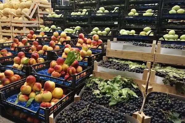 İBB-Bayrampaşa Sebze ve Meyve Hali - Yaş Meyve Sebze Toptancısı - İstanbul Esenyurt