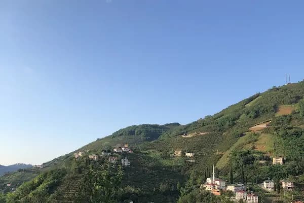 Muhcuoğlu mahalle - Tatil sitesi - Trabzon Ortahisar