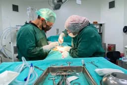 Op. Dr. Mehmet Yavuz Çapan