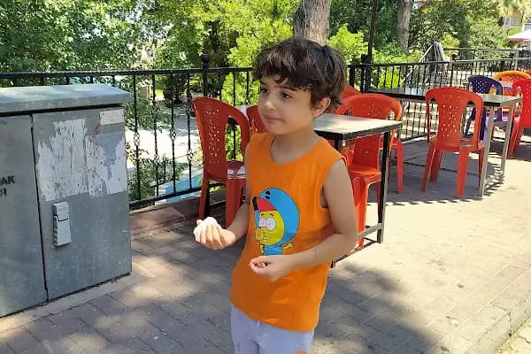 ÖZEL YENI NEHIR SÜRÜCÜ KURSU - Sürücü Kursu - İstanbul Sarıyer