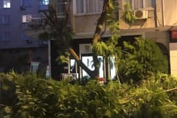 Akdeniz Belediyesi
