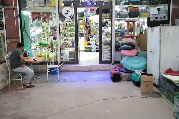 Boncuk petshop - Evcil Hayvan Malzemeleri Mağazası - Gaziantep Nizip