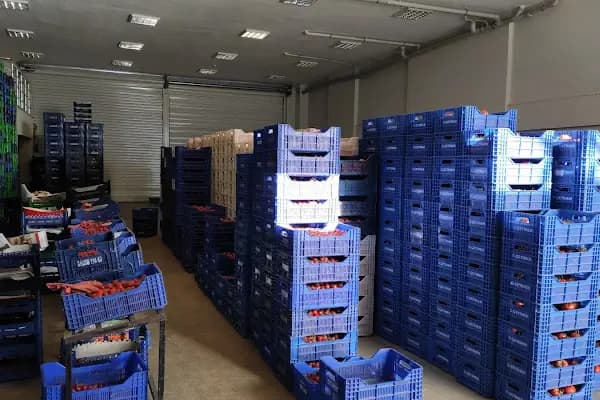 Hakim Ticaret - Yaş Meyve Sebze Toptancısı - Antalya Finike