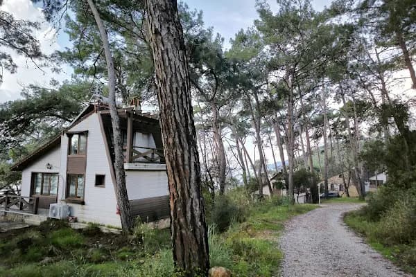 Akyaka Orman Kampı - Kamp Alanı - Muğla Ula