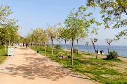 Engelliler Parkı