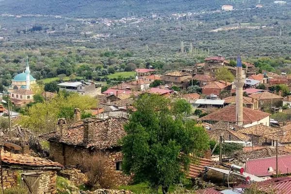MAHALLE MUHTARLIĞI - Kamu Güvenliği Dairesi - Aydın Bozdoğan