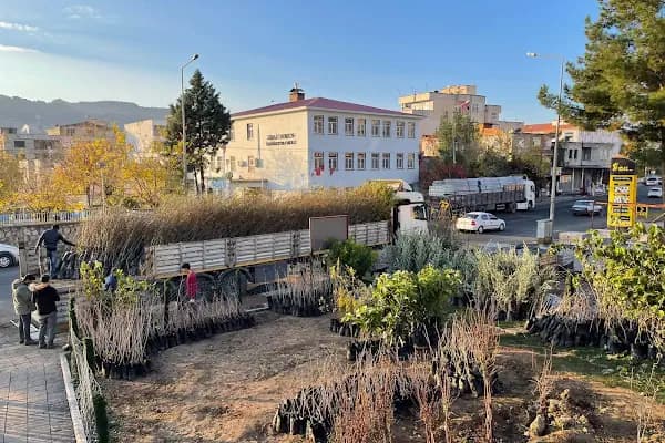 Çermik Tarım ve Fidancılık - Fidan Toptancısı - Diyarbakır Bismil