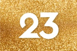 23 Projects