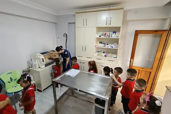 Pet-inn Veteriner Kliniği - Veteriner - Balıkesir Altıeylül